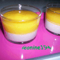 Panna cotta vanille-mangue au lait de coco