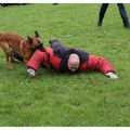 Démonstrations des brigades canines des zones de police de Comines – Mouscron – Menin