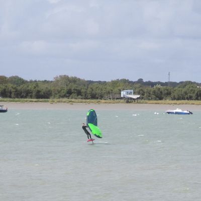 De la wing aujourd'hui