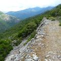 La Corse - Randonnée dans la forêt de Pirio jusqu'au col de Melza 2