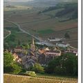Pernand-Vergelesses 1er cru "Sous Fretille"Domaine Rapet et fils
