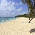 Marie Galante - plage de la Feuillère