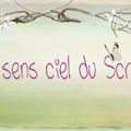 les sens ciel du scrap