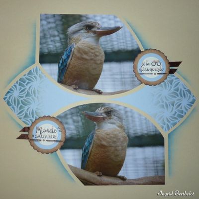 Martin Chasseur à Ailes Bleues