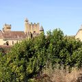 Chateau de Beynac - Dordogne 