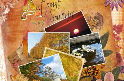 Saison : automne