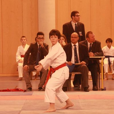 Compétition FLERS du 15 decembre 2013