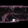 SPONDUMENE var. KUNZITE with IMPORTANT HISTORIC PROVENANCE