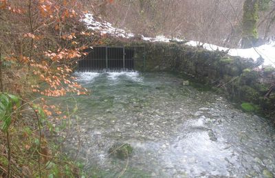 Tir et désob aux barbares