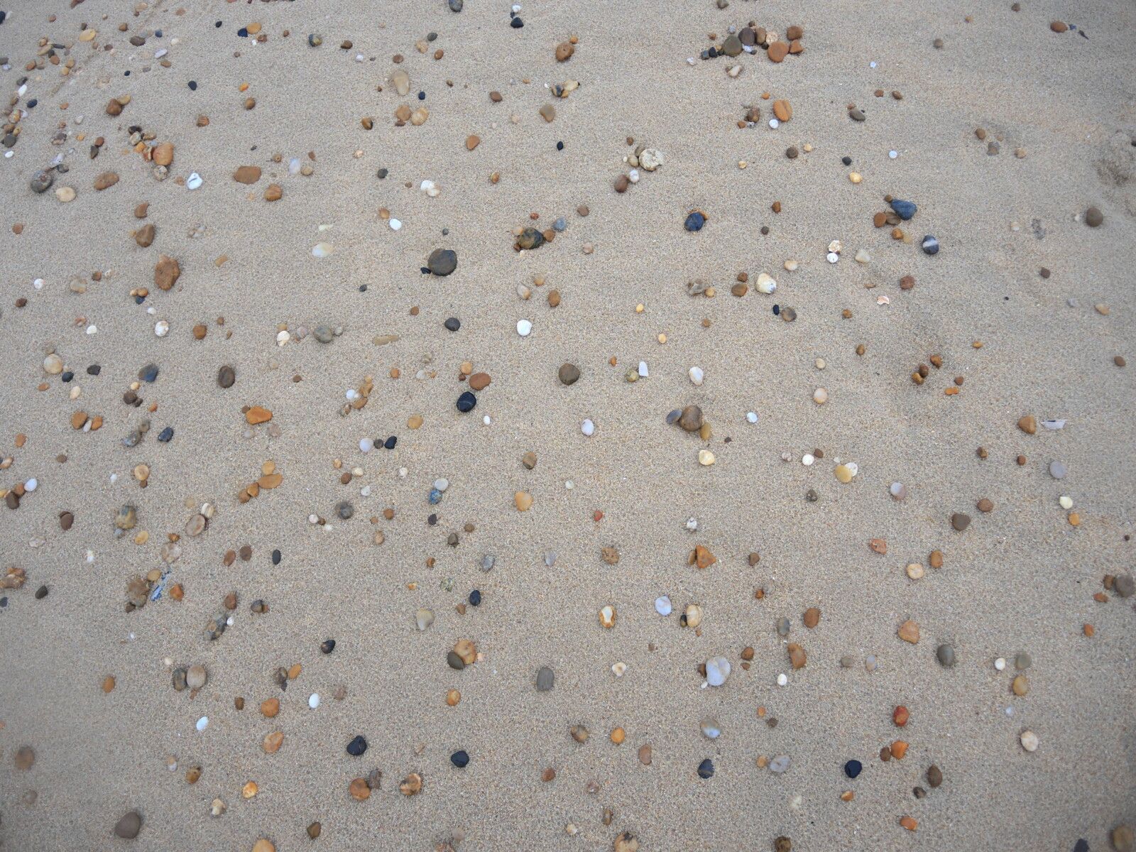 Tarnos, plage du métro, petits cailloux, mars 2025 (40)