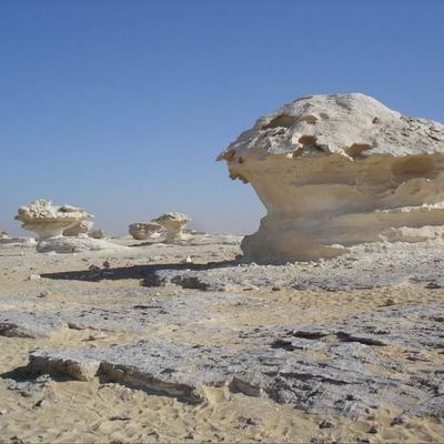 Just don't let the good life pass you by...