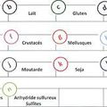 Les 14 allergènes à mention obligatoire