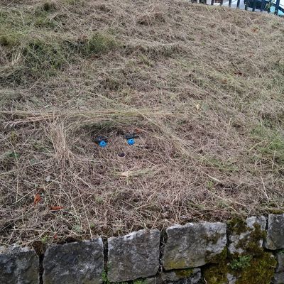 n'en fais pas tout un foin