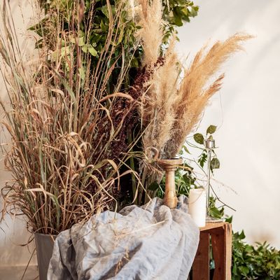 tend'm festival mariage dimanche 18 novembre-Manoir du prince - TOULOUSE