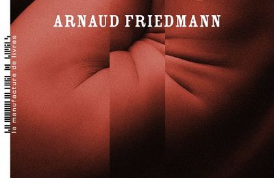 La femme d'après, d'Arnaud Friedmann