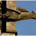 Gargouilles de l'église Saint Michel, à Limoges