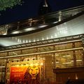 Opéra de Shanghaï de nuit