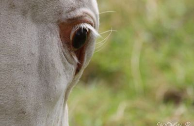 Un autre regard ...