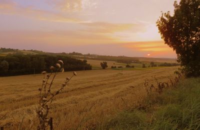 Après une journée de canicule, où la fraîcheur