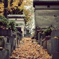 L'automne au Père Lachaise #2