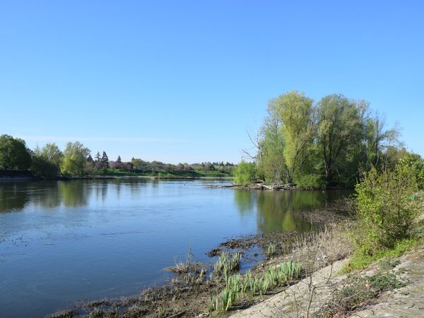 Sur les rives du Cher à Tours le 9 avril 2025