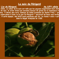 la noix du Périgord, au 10ème siècle