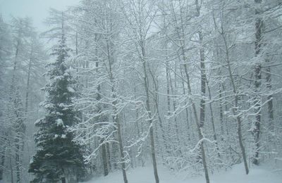 Séjour à Buissard - Hiver