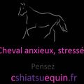 Cheval anxieux, stressé?