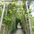 DOMAINE DE CHAUMONT-SUR-LOIRE(41) - Le jardin de porcelaine