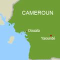 Cameroun,Emeutes : un lourd bilan