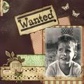 Wanted