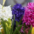 9 Floréal.