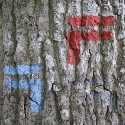 C'est les vacances...