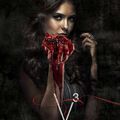 Affiches et vidéo promo de la Saison 3 de Vampire Diaries