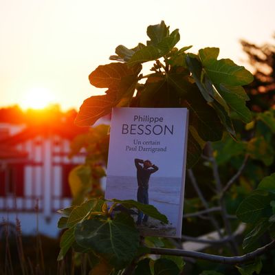 ✨ CHRONIQUE ✨ Un certain Paul Darrigrand - Philippe Besson