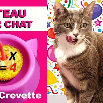 COUNILLE : mon CHAnniversaire