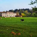 Chéronnac, au source de la Charente