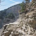 MONT VENTOUX, boucle par la Combe de Fonfiole depuis Mont Serein