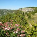 Les Cévennes : Le cirque de Navacelles