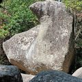 Dimanche 4 septembre : le Sidobre et le monde du granite et de la forêt