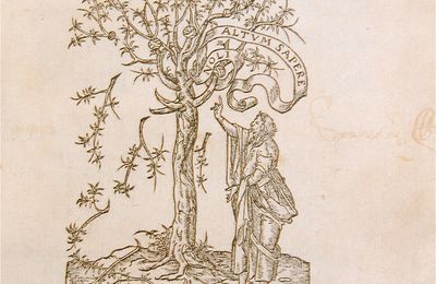 Amadys Jamyn (1538 – 1592) : Que personne n’est libre