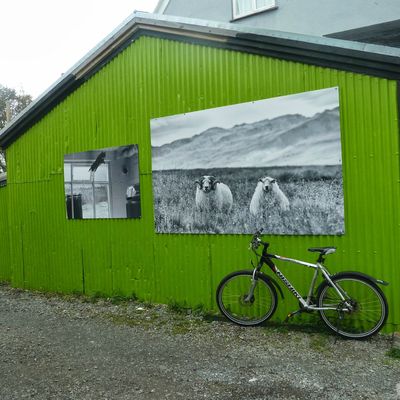 ◈◈◈ TRIP TO REYKJAVIK ◈◈◈