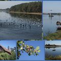 Balade sur les bords de Loire