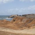 La savane des pétrifications, côte sud