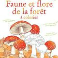 Usborne - Faune et flore de la forêt à colorier