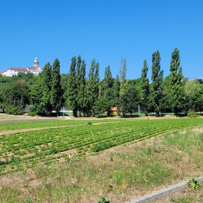 Jour 6 : l'Abbaye de Pannonhalma /  Győr ( prononcer Dieur ) )