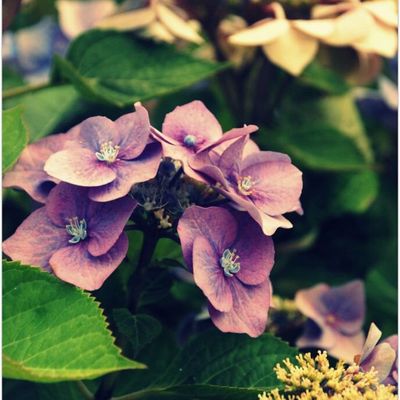 ..." L'invincible ce n'est pas celui qui gagne toujours, l'invincible c'est celui qui ne se fait jamais assommer par les défaite