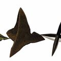 Les objets du Maquis: les crève pneus mécaniques ou "Caltrop"