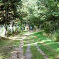  Sous le charme de l'Aubrac, Dimanche 10 septembre, Lasbros/ Nasbinals, 19 km