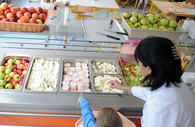 Handicap : rentrée chaotique pour la prise en charge par l'État des AESH durant la pause méridienne